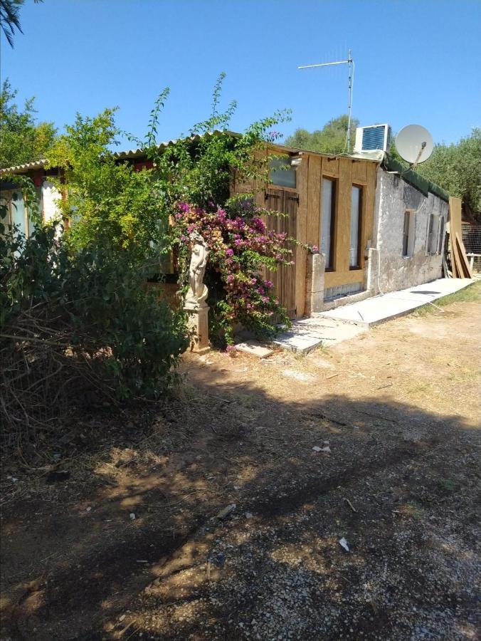 הוילה אלגהרו Casa Carlo מראה חיצוני תמונה