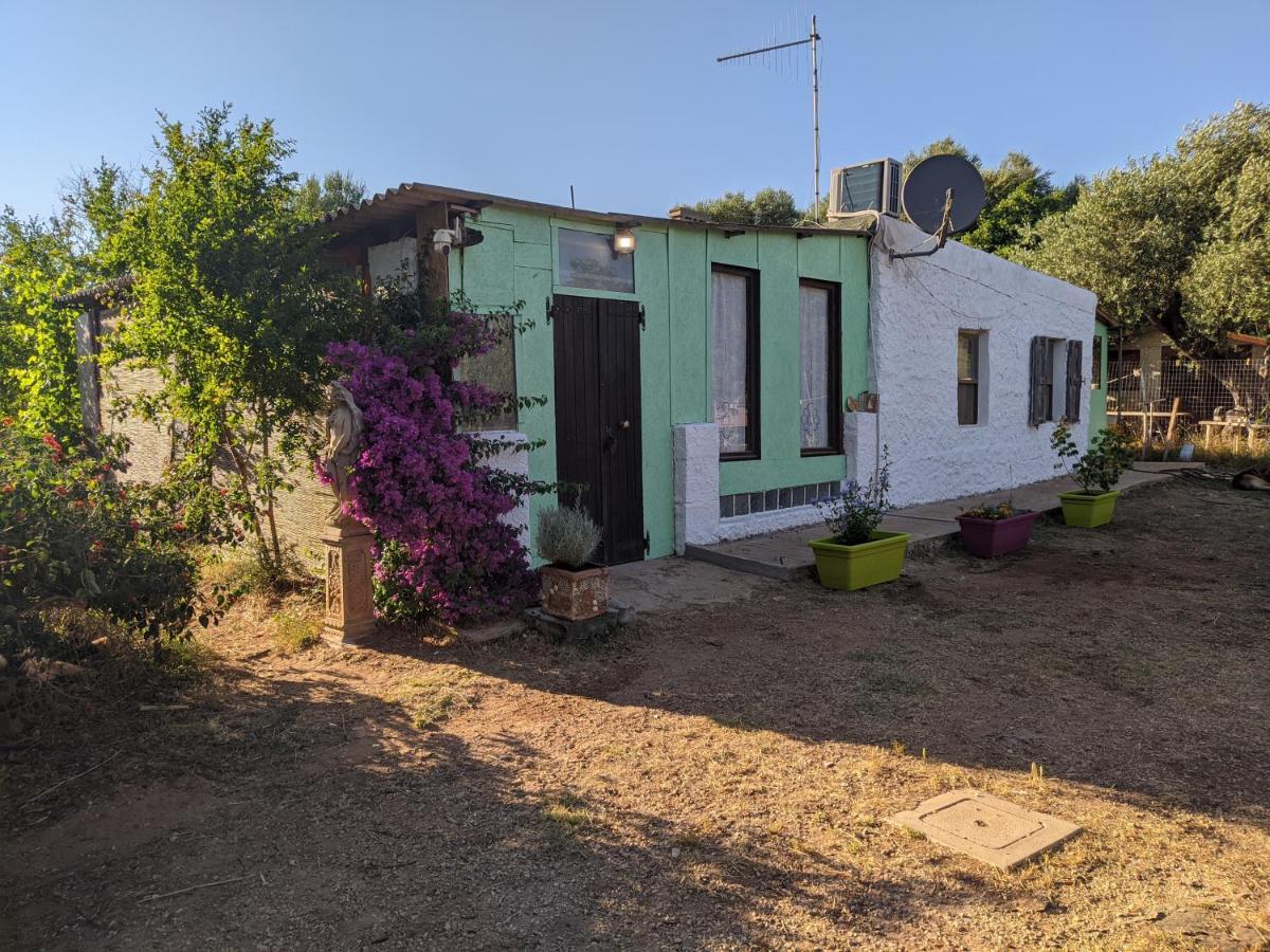 הוילה אלגהרו Casa Carlo מראה חיצוני תמונה